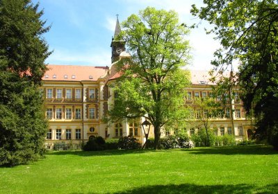 Jak pomohla naše podpora Olivově léčebně