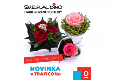 Udělejte radost květinou, která vydrží